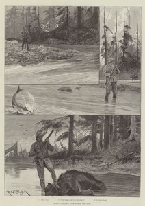 Deporte en Alaska, con salmón y oso